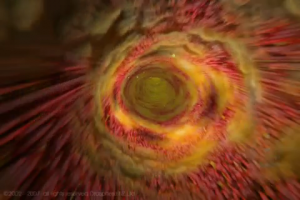 orasphereより根管内部を移動中